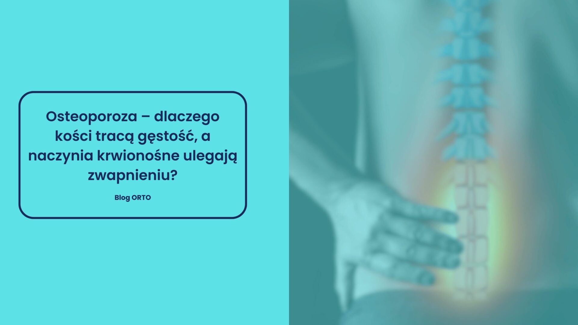Osteoporoza – dlaczego kości tracą gęstość, a naczynia krwionośne ulegają zwapnieniu? - blog orto.pl