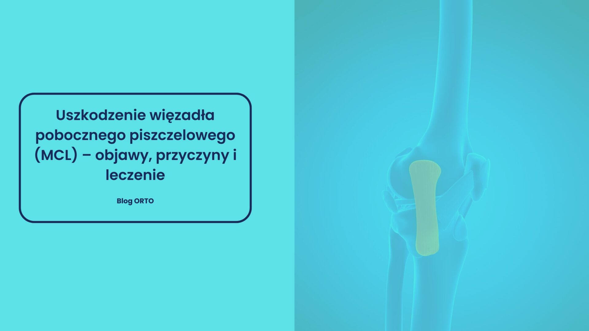 Uszkodzenie więzadła pobocznego piszczelowego (MCL) – objawy, przyczyny i leczenie - blog orto.pl