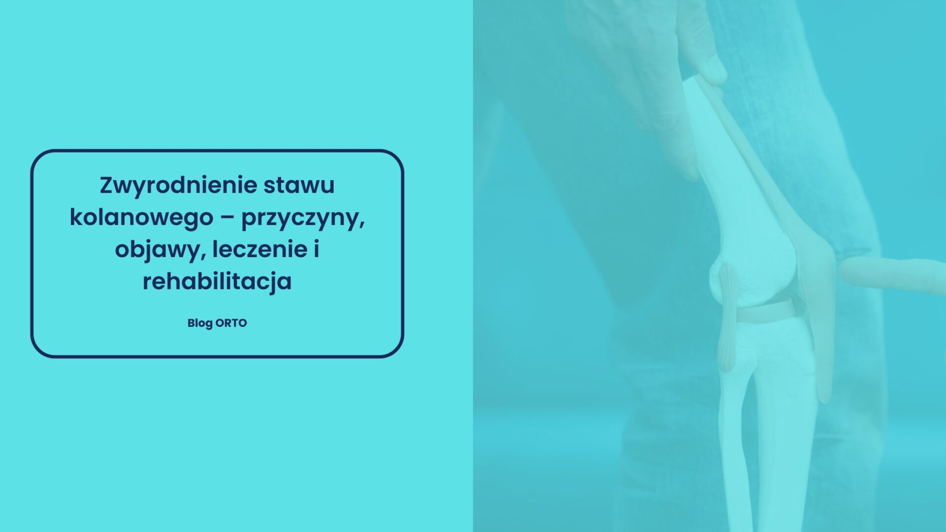 Zwyrodnienie stawu kolanowego – przyczyny, objawy, leczenie i rehabilitacja - blog orto.pl